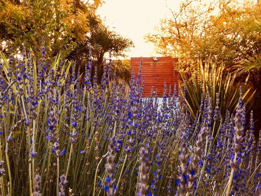 Pictures Guest House Boutique Hotel Oudtshoorn Exterior photo